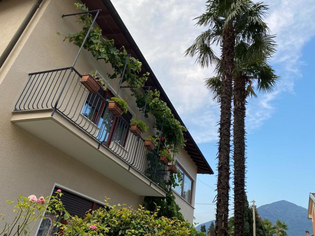 Verdelago Cannobio Exteriör bild